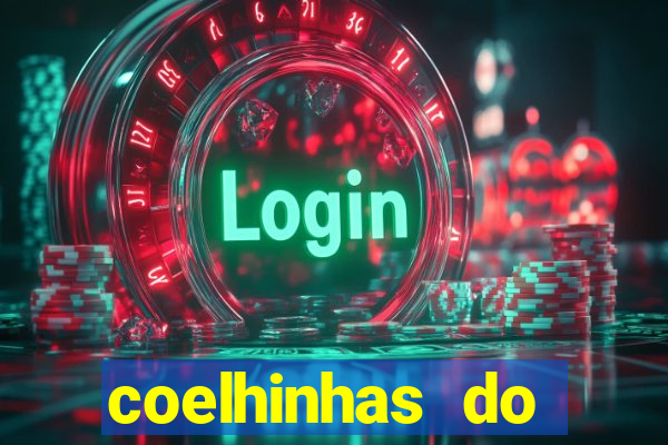 coelhinhas do brasil recife